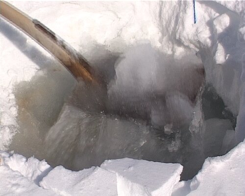 temp27.bmp