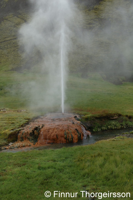 114DSC_9275