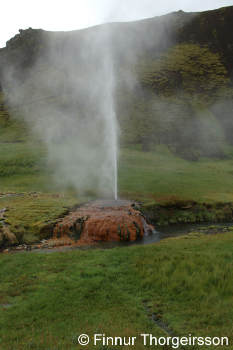 116DSC_9277