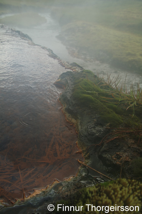 217DSC_9378