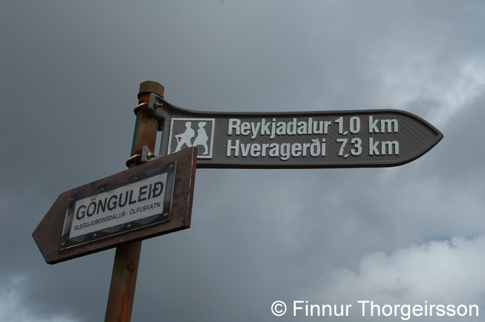 301DSC_9462