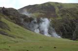242DSC_9403