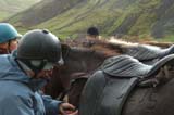 270DSC_9431