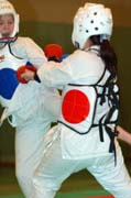 rvkmot168DSC_0929