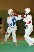rvkmot191DSC_0952