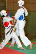 rvkmot237DSC_0998