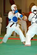 rvkmot268DSC_1029